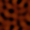 brown7.gif